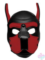 Masks for Bondage
