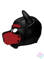 Masks for Bondage