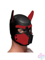 Masks for Bondage