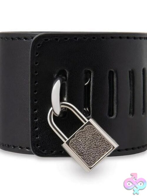 Spreader Bar With Lockable Cuffs – Silver - Image 3