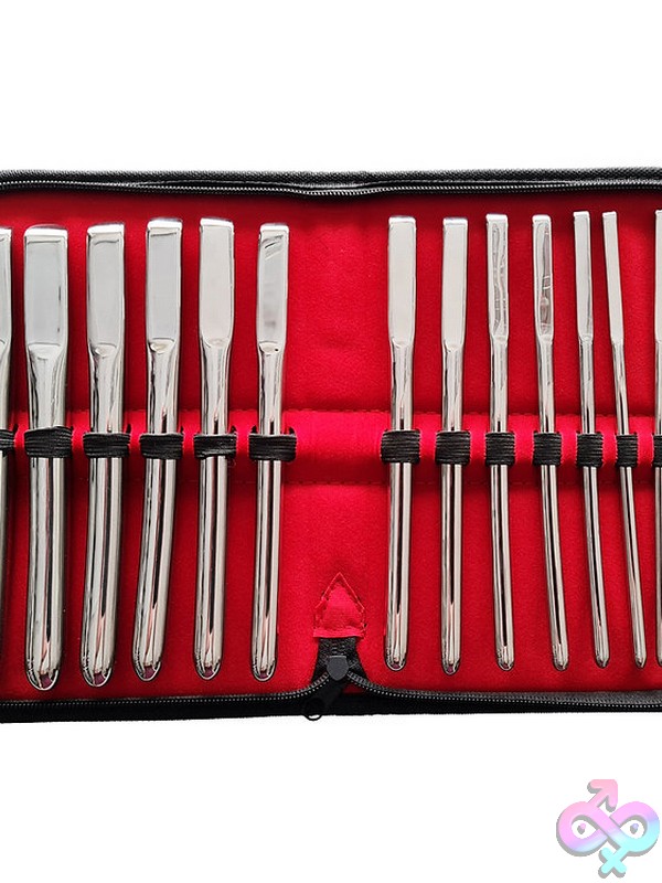 Discreet-Toys-Stainless-Steel-Hegar-Uterine-14-Piece-Dilator-Set-Nu-Rhud097 14-Piece Single-Ended Stainless Steel Hegar Dilator Set In Silver By Rouge Garments