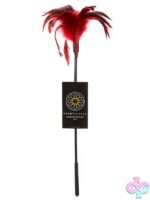 Starburst feather tickler wand in black and red on a dark sensual background