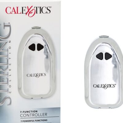 Sleek silver metallic 7 function wired bullet controller by California Exotic Novelties