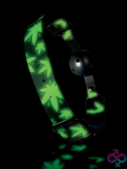 Chronic Collection Glow In The Dark Breathable Ball Gag – Black - Image 2