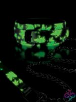 Chronic Collection Glow In The Dark Collar & Leash – Black - Image 2
