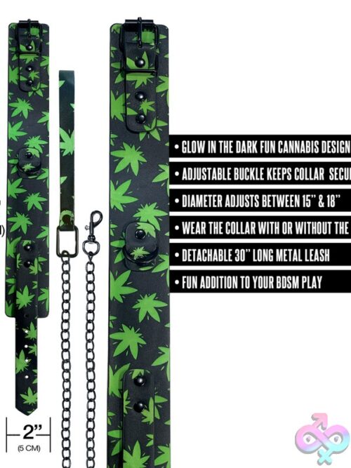 Chronic Collection Glow In The Dark Collar &Amp; Leash – Black - Image 3