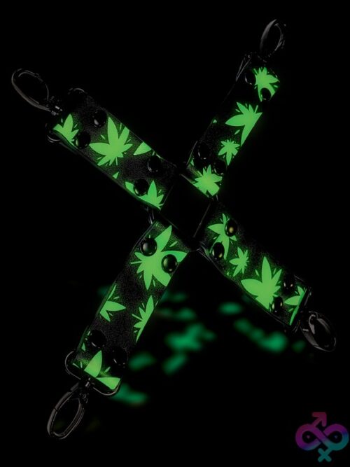Chronic Collection Glow In The Dark Hogtie – Black - Image 2