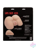 Ivory Life-size Backside Stroker - Image 8