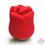 Sweet Kiss Kissing & Vibrating Clitoral Stimulator - Red - Image 5