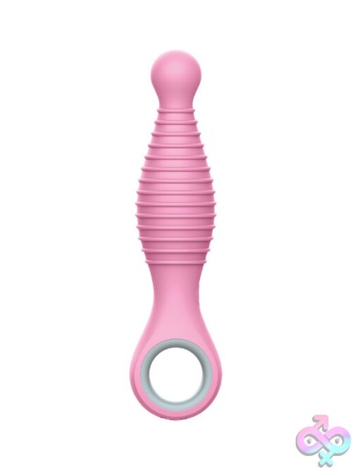 Sweet Stash Sweet Cheeks Anal Vibrator - Image 2