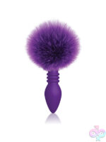 Anal Plugs for Anal