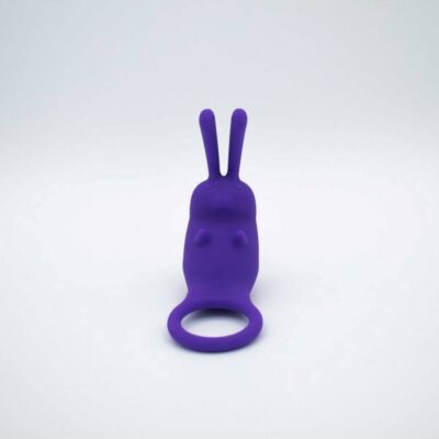 The Cock Hopper Cock Ring and Bullet Vibrator Purple by Like A Kitten