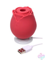 Wireless for Female