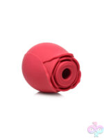 Wireless for Female