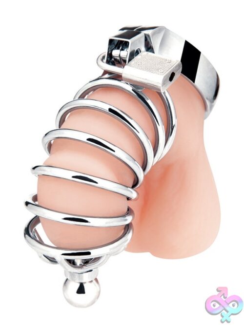 Urethral Play Cage - Image 2