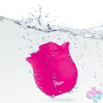 Zen Rose - Hot Pink