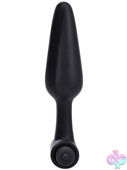 Vibrating Butt Plug 5 Inch - Image 3