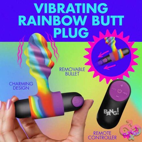 Vibrating Rainbow Butt Plug - Image 4