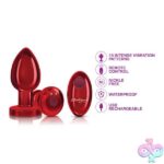 Vibrating Red Metal Remote Plug - Lg