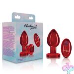 Vibrating Red Metal Remote Plug - Lg - Image 3