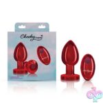 Vibrating Red Metal Remote Plug - Lg - Image 4