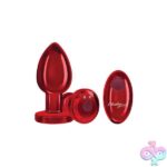 Vibrating Red Metal Remote Plug - Lg - Image 5