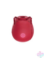 Wireless for Female