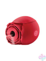 Wireless for Female