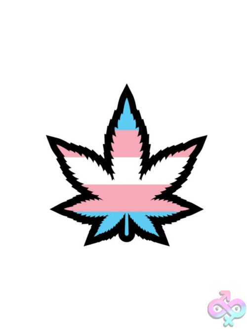 Weed Leaf Trans Pride Lapel Pin - Image 2