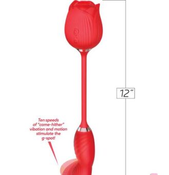 Free Shipping - Anal Sex - Discreet Toys