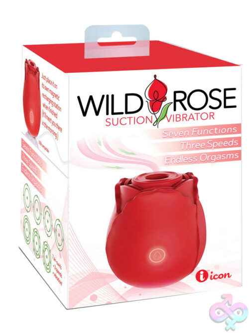 Vaginal and Clit Vibrators for Female