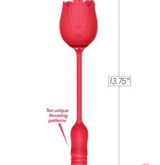 Free Shipping - Anal Sex - Discreet Toys