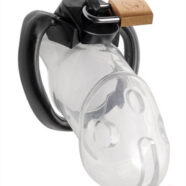 XR Brands Master Series Sex Toys - Rikers Locking Chastity Device