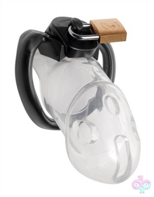 XR Brands Master Series Sex Toys - Rikers Locking Chastity Device