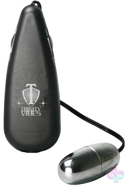Silver vibrating egg remote control clitoral vibrator by XR Brands