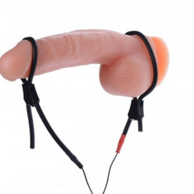vigor ii electro stim cock and balls ties frenum electro stimulator by XR Brands beige