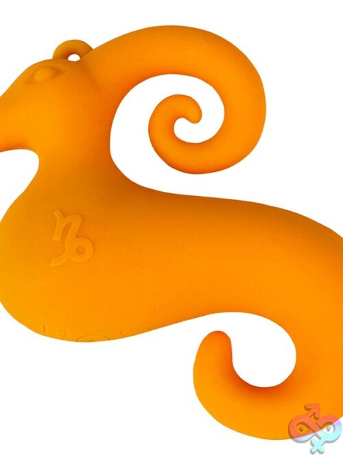 Zodiac Collection Capricorn Mini Vibe – Orange - Image 2