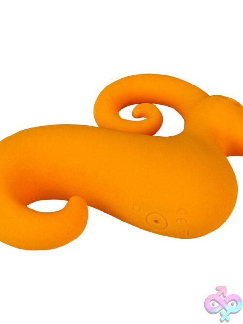 Zodiac Collection Capricorn Mini Vibe – Orange - Image 3
