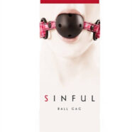 nsnovelties Sex Toys - Sinful Ball Gag - Pink