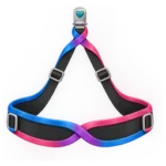 Sexy Harnesses