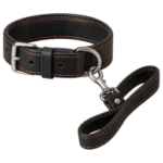 Collars & Leashes