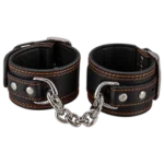 Restraints