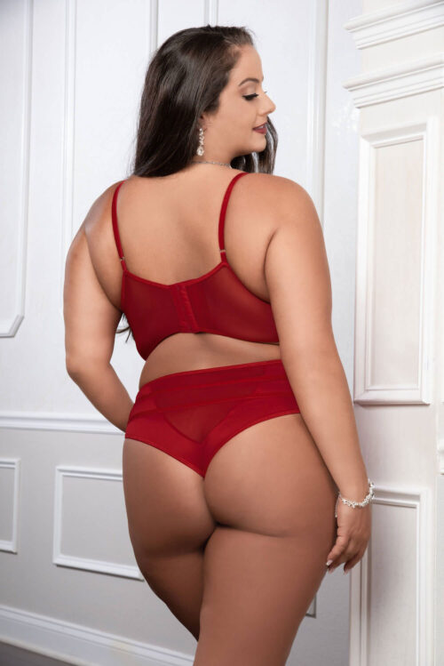 Cinnamon Red 2Pc Satin Bra And High Waist Panty - Queen Size By G-World
