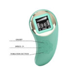remote control vibrating bullet Mina Egg Turquoise by Pretty Love